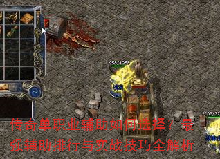 ���浥ְҵ�������ѡ����ǿ����������ʵս����ȫ����