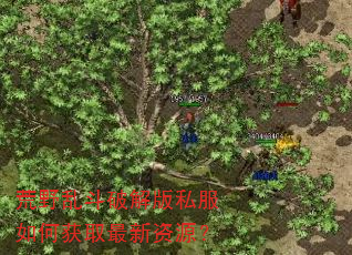��Ұ�Ҷ��ƽ��˽����λ�ȡ������Դ��