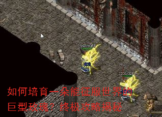 �������һ������������ľ���õ�壿�ռ����Խ���