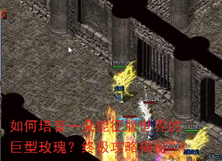 �������һ������������ľ���õ�壿�ռ����Խ���