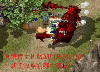 ħ�����ֻ�����ο������������ֹ�������ЩҪ�㣿