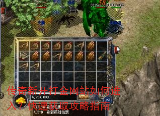 �����¿������վ��ν��룿���ٻ�ȡ����ָ��