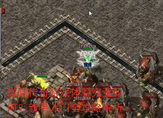 ΢�˴�����Ϸ���龿����Σ���������ȫ���Խ���